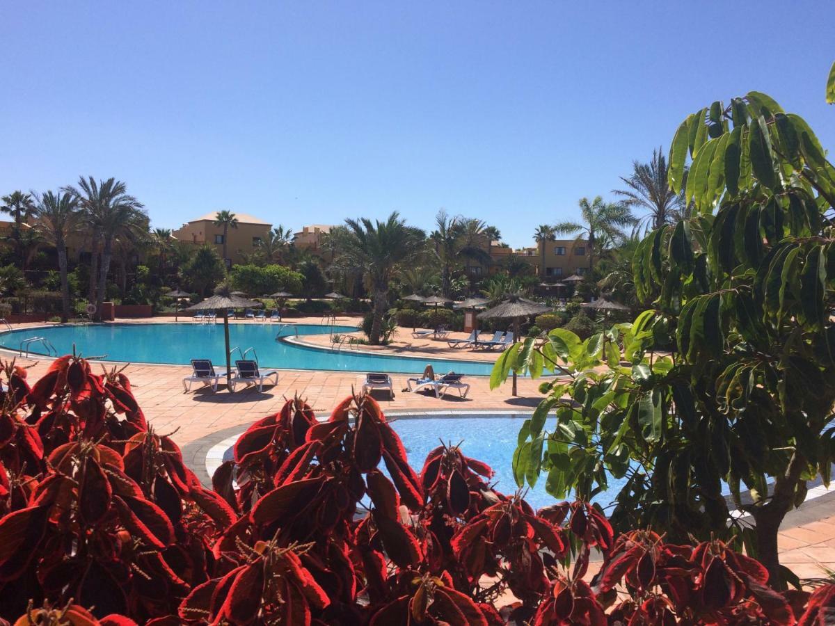 My Pretty Home - Lovely And Spacious Surrounded By Tropical Gardens - Private Covered And Uncovered Terrace - Pool - Parking - Free Fibre Optic Internet コラレホ エクステリア 写真