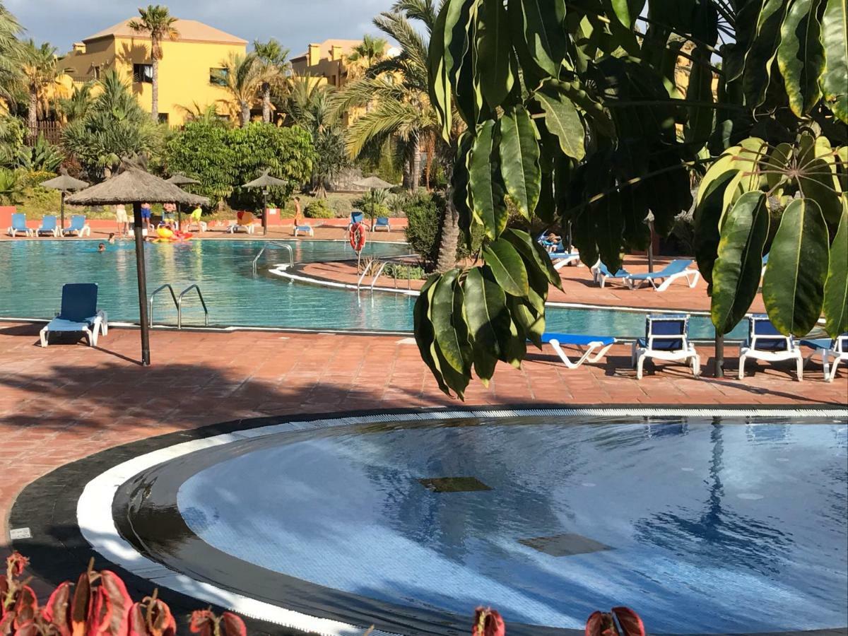 My Pretty Home - Lovely And Spacious Surrounded By Tropical Gardens - Private Covered And Uncovered Terrace - Pool - Parking - Free Fibre Optic Internet コラレホ エクステリア 写真