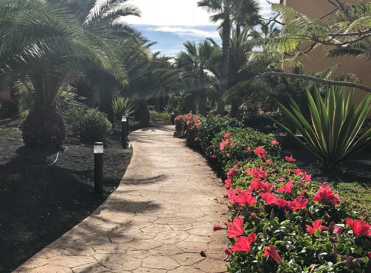 My Pretty Home - Lovely And Spacious Surrounded By Tropical Gardens - Private Covered And Uncovered Terrace - Pool - Parking - Free Fibre Optic Internet コラレホ エクステリア 写真
