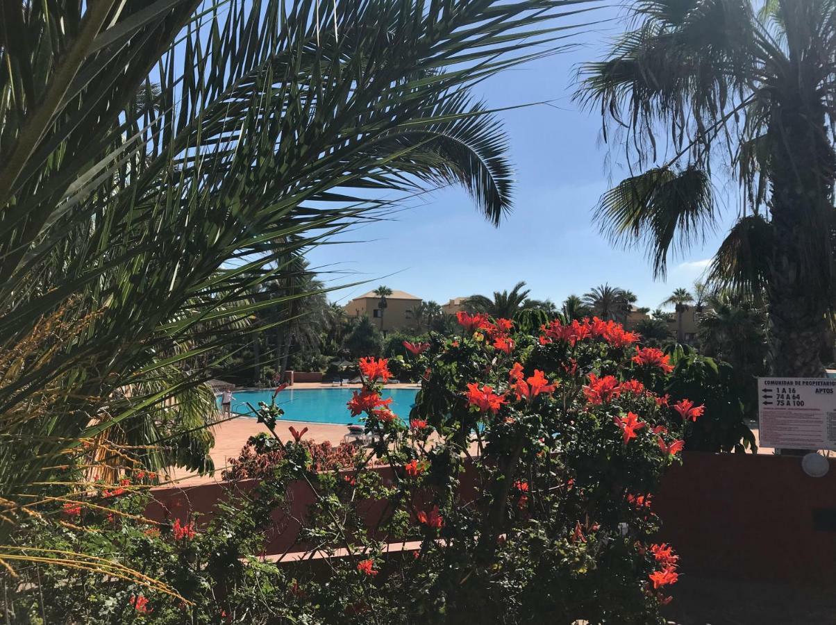 My Pretty Home - Lovely And Spacious Surrounded By Tropical Gardens - Private Covered And Uncovered Terrace - Pool - Parking - Free Fibre Optic Internet コラレホ エクステリア 写真